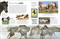 Eyewitness Horse - 9780593842409 by DK