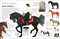 Eyewitness Horse - 9780593842409 by DK