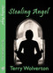 Stealing Angel by Terry Wolverton, 9781935226451