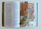 La Biblia Ilustrada / The Illustrated Bible (Spanish Edition) by Anne De Graff, Jose Perez Montero, 9798890980502