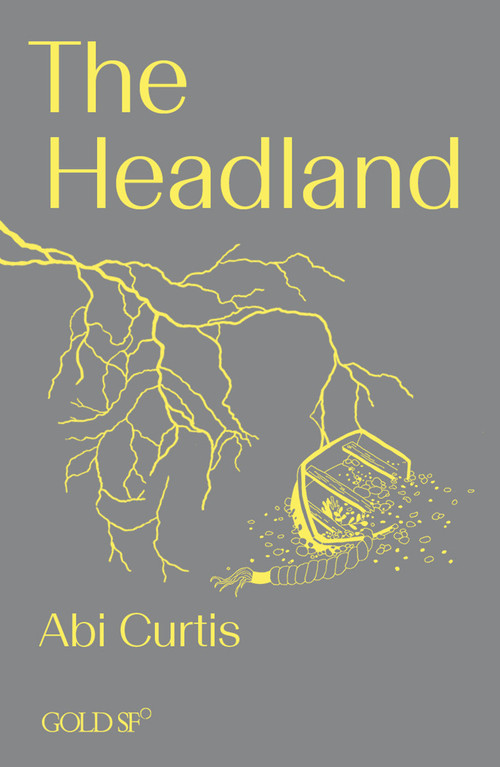 The Headland by Abi Curtis, 9781915983121