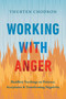 Working with Anger (Buddhist Teachings on Patience, Acceptance, and Transforming Negativity) - 9781645472889 by Thubten Chodron, 9781645472889