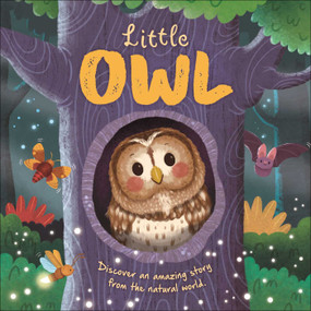 Nature Stories: Little Owl-Discover an Amazing Story from the Natural World (Padded Board Book) by IglooBooks, Rose Harkness, Gisela Bohórquez, 9781837717378