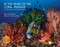 At the Heart of the Coral Triangle (Celebrating Biodiversity) by Alan J Powderham, Sancia van der Meij, 9780367428167