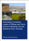 Estimating Combined Loads of Diffuse and Point-Source Pollutants Into the Borkena River, Ethiopia by Eskinder Belachew, 9780367253455