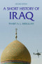 A Short History of Iraq by Thabit Abdullah, 9781405859370