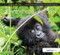 Focus On Photoshop Lightroom (Focus on the Fundamentals) by Dave Stevenson, Nik Rawlinson, 9780415663236