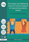 Promoting and Delivering School-to-School Support for Special Educational Needs (A practical guide for SENCOs) by Rita Cheminais, 9780415633703