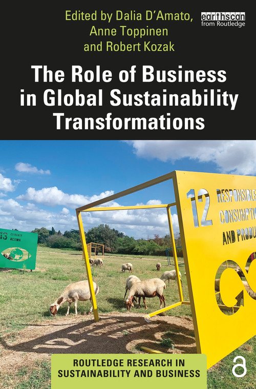 The Role of Business in Global Sustainability Transformations by Dalia D'Amato, Anne Toppinen, Robert Kozak, 9780367434830
