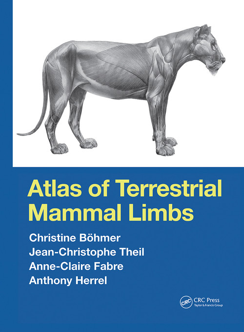 Atlas of Terrestrial Mammal Limbs by Christine Böhmer, Jean-Christophe Theil, Anne-Claire Fabre, Anthony Herrel, 9781032240879