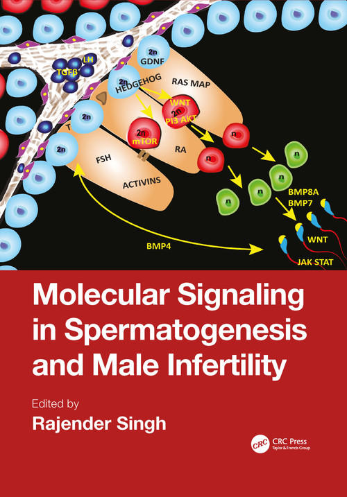 Molecular Signaling in Spermatogenesis and Male Infertility by Rajender Singh, 9781032085739