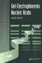 Gel Electrophoresis: Nucleic Acids by Dr Robin Martin, 9781872748283
