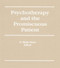 Psychotherapy and the Promiscuous Patient - 9781560243175 by E Mark Stern, 9781560243175