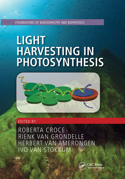 Light Harvesting in Photosynthesis by Roberta Croce, Rienk van Grondelle, Herbert van Amerongen, Ivo van Stokkum, 9780367781491