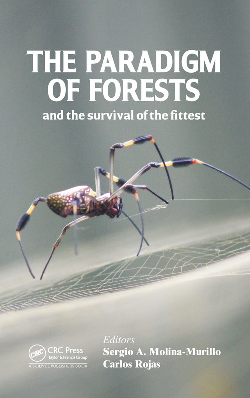 The Paradigm of Forests and the Survival of the Fittest by Sergio A. Molina-Murillo, Carlos Rojas Alvarado, 9780367783204
