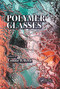Polymer Glasses by Connie B. Roth, 9780367782436
