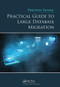 Practical Guide to Large Database Migration by Preston Zhang, 9780367780074