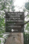 Prospects and Utilization of Tropical Plantation Trees by Liew Kang Chiang, 9781032086255