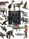 Vertebrate Evolution (From Origins to Dinosaurs and Beyond) by Donald R. Prothero, 9780367473167