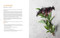 Botanical Dyes (A seasonal guide to sustainable dyeing) by Aurélia Wolff, 9781800922136