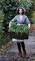 Botanical Dyes (A seasonal guide to sustainable dyeing) by Aurélia Wolff, 9781800922136
