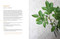 Botanical Dyes (A seasonal guide to sustainable dyeing) by Aurélia Wolff, 9781800922136