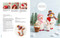 Needle Felting Christmas (Fun step-by-step holiday projects) by Roz Dace, Judy Balchin, 9781800921993