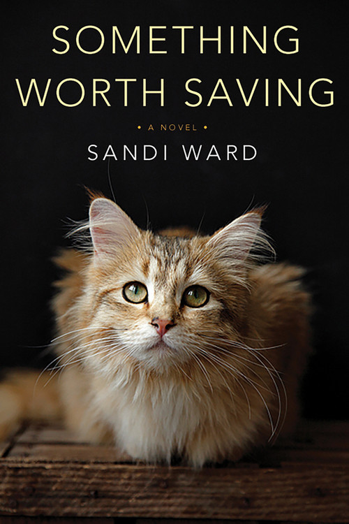 Something Worth Saving by Sandi Ward, 9781496711137