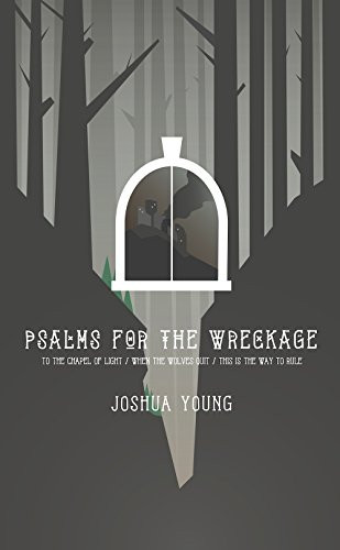Psalms for the Wreckage by Joshua Young, 9780991418374