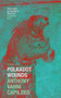 Polkadot Wounds by Anthony Vahni Capildeo, 9781800174252