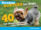 Boredom Busters for Dogs (40 Tail-Wagging Games and Adventures) by Nikki Moustaki, 9781935484172