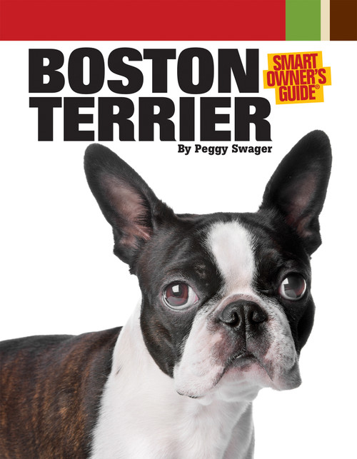 Boston Terrier by Peggy Swager, 9781593787875