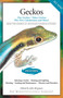 Geckos (Day Geckos, Tokay Geckos Plus New Caledonians and More!) by Juile Bergman, 9781882770892