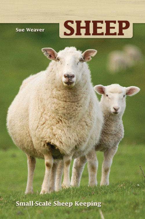 Sheep (Small Scale Sheep Keeping) by Sue Weaver, 9781620081273