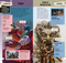 Dungeons & Dragons Pocket Expert by Stacy King, 9780744099041