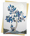Alexandra Milton: Silver Tree of life with Four White-throated Magpies Greeting Card Pack (Pack of 6) by Flame Tree Studio, 9781804178713