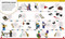 LEGO Timelines (A Visual Journey Through Ten Decades of LEGO History) by Simon Hugo, 9780593844168