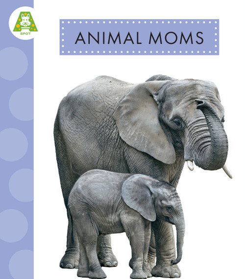 Animal Moms by Golriz Golkar, 9781681527758