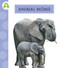 Animal Moms by Golriz Golkar, 9781681527758
