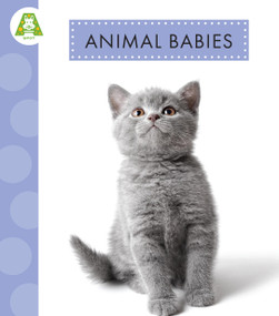 Animal Babies by Anastasia Suen, 9781681527765