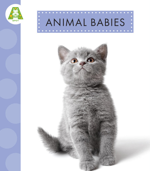 Animal Babies by Anastasia Suen, 9781681527765