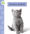 Animal Babies by Anastasia Suen, 9781681527765