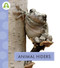 Animal Hiders by Golriz Golkar, 9781681527819