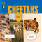 Cheetahs - 9781682773888 by Kate Riggs, 9781682773888