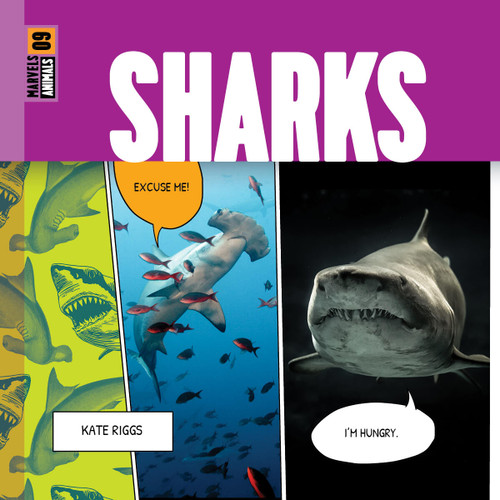 Sharks - 9781682773963 by Kate Riggs, 9781682773963