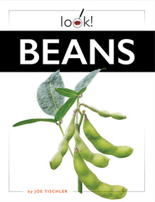 Beans by Joe Tischler, 9781682774014