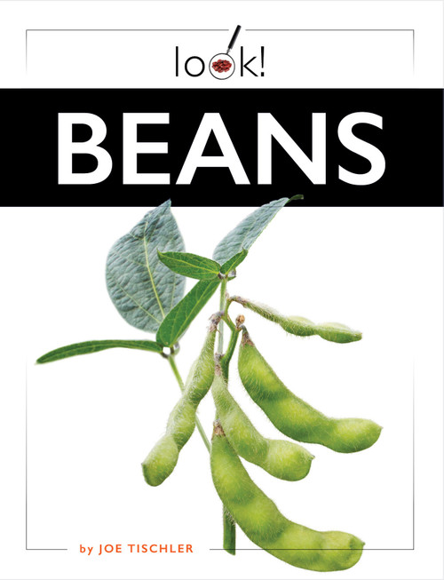 Beans by Joe Tischler, 9781682774014
