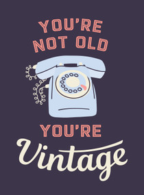 You're Not Old, You're Vintage (Joyful Quotes for the Young At Heart) by Summersdale Publishers, 9781837993567