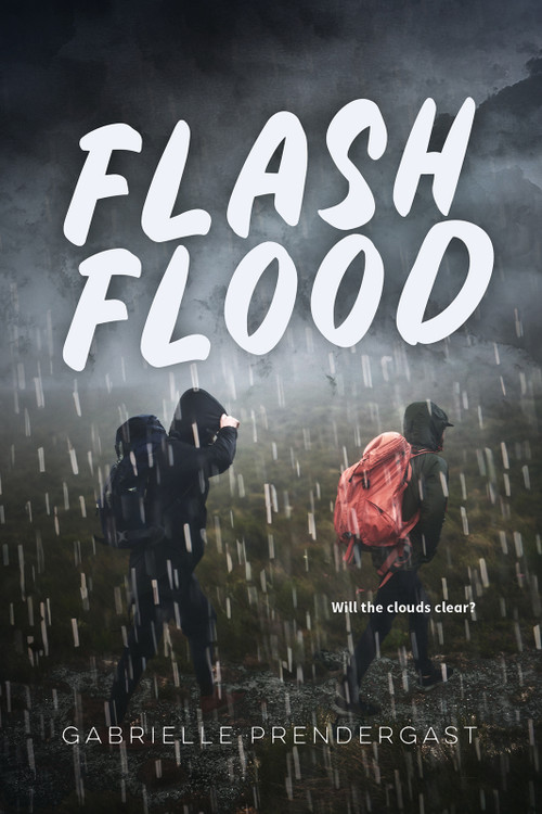 Flash Flood by Gabrielle Prendergast, 9781459838215