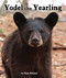 Yodel the Yearling by Mary Holland, 9781607184591